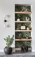 HAOKHOME 93042-4 Peel and Stick Wallpaper Boho Sage Green Eucalyptus Leaf Floral Wall Mural Home Nursery Decor Renter Friendly Wallpaper 17.7in x ...