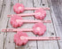 5Pcs Pink Sponge Bottle Brush 17cm Long Handle Flower Shaped Cleaning Brushes for Reusable Water Bottles Containers Glasses...