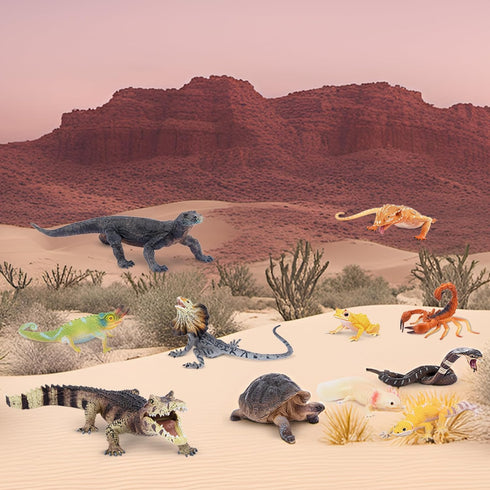 Toymany 12PCS Reptile Animal Figurine Toys Set, Cold Blooded Amphibians Desert Animal Figures with Komodo Dragon Lizard Snake Chameleon Rainforest...