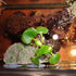 kathson Turtle Basking Platform with Suction Cup Tortoise Climbing Rest Terrace Resin Step Decoration Reptile Habitat Rock Decor for Frogs,Lizards...