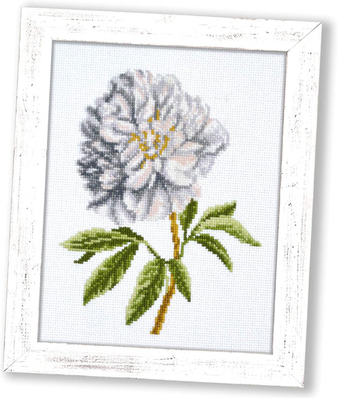 Counted Cross Stitch Kit 'White Peony' Flowers, 5.1" ? 6.9", Floral Embroidery Kit for Beginners with Pattern for Home Decor...