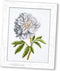 Counted Cross Stitch Kit 'White Peony' Flowers, 5.1" ? 6.9", Floral Embroidery Kit for Beginners with Pattern for Home Decor...