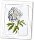 Counted Cross Stitch Kit 'White Peony' Flowers, 5.1" ? 6.9", Floral Embroidery Kit for Beginners with Pattern for Home Decor...