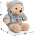 Ganz 9" Get Well Soon Teddy Bear with Gray Hoodie - Feel Better Gift for Kids & Women (Tan Nose Stuffed Animal)...