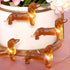 Impress Life Pet Theme Decorative String Lights, 10ft 30 LED Dachshund Dog Twinkle Lights, USB Battery Operated with Remote for Indoor Covered Out...