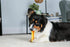 Hartz Chew 'n Clean Dental Duo Dog Treat & Chew Toy, Color Varies, Medium, 3 Pack...