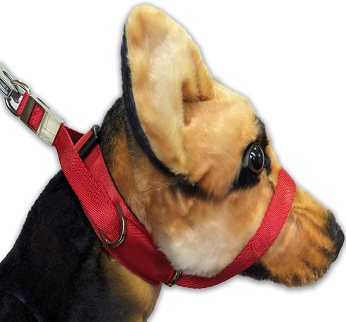 PetsProMax - Dog Headcollar for Pulling and Reactive Dogs; Behind Head Dog Leash Hook Lets You Walk Peacefully; Instantly Stops Your Dog Pulling. ...