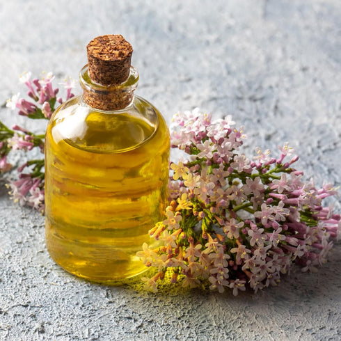 Essences Bulgaria Organic Valerian Essential Oil 0.17 Fl Oz | 5ml | Valeriana officinalis | for Good Sleep, Relaxation, Stress Relief | Aromathera...