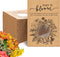 Fumete Baby Shower Party Favor Baby in Bloom Packet Kraft Bags with Window Envelopes Resealable Organizer Storage Bag for Gender Reveal Party...