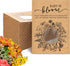 Fumete Baby Shower Party Favor Baby in Bloom Packet Kraft Bags with Window Envelopes Resealable Organizer Storage Bag for Gender Reveal Party...