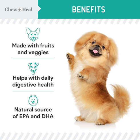 Chew + Heal Labs Probiotic Salmon Jerky Dog Treats - 5 oz of Salmon Jerky for Digestive Health - Made with Wild Alaskan Salmon, Apples, Pumpkin, P...