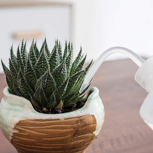 ORIMERC 2 Pack 500mL Watering Bottle with 15 feet Self Watering Wick Cord for Indoor Plants Succulent Cactus Plastic Squeeze Water Can Long Nozzle...