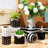 4 Rolls 157ft Bulletin Board Borders Scalloped Border Trim Bulletin Board Decorations Bulletin Borders for School Classroom Chalkboard Whiteboard ...