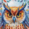 51buyoutgo Owl 11ct Cross Stitch Kits, 11 CT Funny Pre Printed Counted Stamped Cross Stitch Embroidery Needlepoint Needlework Patterns Kits for Be...