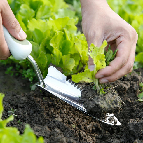 Worth Garden Serrated Transplanter - Planting Trowel Garden Tool, Stainless Steel Serrated Hand Shovel for Digging and Precise Bulb Planting - T50...