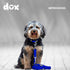 DDOXX Nylon Dog Leash - 6.6 ft, 3-way Adjustable Leash Dogs - S (Blue)...