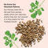 Botanic Choice Parsley Seed Oil-for Bad Breath from Odor-Causing Foods-Odor Neutralizer from Within-Breath Freshener gels-60 Softgels...