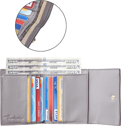 Travelambo RFID Blocking Small Mini Compact Wallet Coin Pouch Holder Trifold Credit Card Holder Pocket Purse for Women (Napa Grey)...