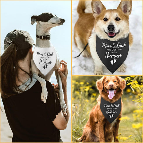 2 Pack Mom&dad are Getting Me a Human Dog Bandana Pregnancy Announcement Gender Reveal Baby Announcements Ideas Photo Prop Pet Scarf Pet Accessori...