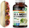 BIO KRAUTER Irish Sea Moss Capsules 1600 mg - 250 Count - Vegan Bladderwrack with Chondrus Crispus Sea Moss Supplement...
