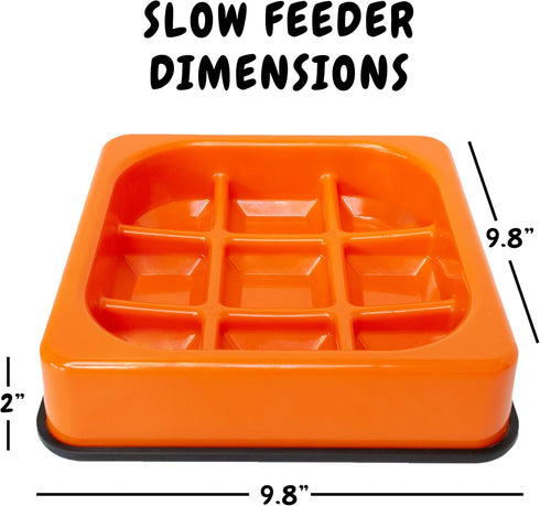 Downtown Pet Supply - Slow Feeder Dog Bowls - Anti-Choke Dog Food Bowl for Wet Dog Food, Solids and Dry Dog Food - Non-Slip Feet - BPA, PVC & Phth...