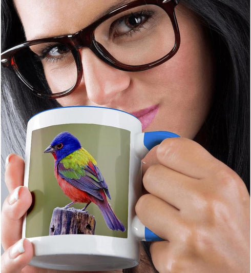3dRose Painted Bunting Male Bird Perched Mug, 11 oz, Blue...