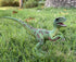 Gemini&Genius Velociraptor Dinosaur Toy for Kids, Velociraptor with Moveable Jaw and Hands, Detail Raptor Action Figure Toy Gift and Dinos World C...