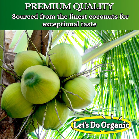 Lets Do Organic Shredded Coconut Unsweetened - Reduced Fat Coconut Shredded Organic, Organic Coconut Shreds, Unsweetened Coconut - 8.8 Oz (Pack of...