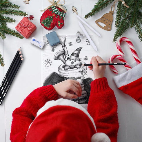PANDAFLY Drawing Sketching Pencil Set, 22 Piece Pro Art Pencil Kit - Graphite Pencils (12B-2H), Black and White Charcoal Pencils, Charcoal Sticks,...