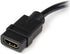 StarTech.com 8in HDMI to DVI-D Video Cable Adapter - HDMI Female to DVI Male - HDMI to DVI Dongle Adapter Cable (HDDVIFM8IN),Black...