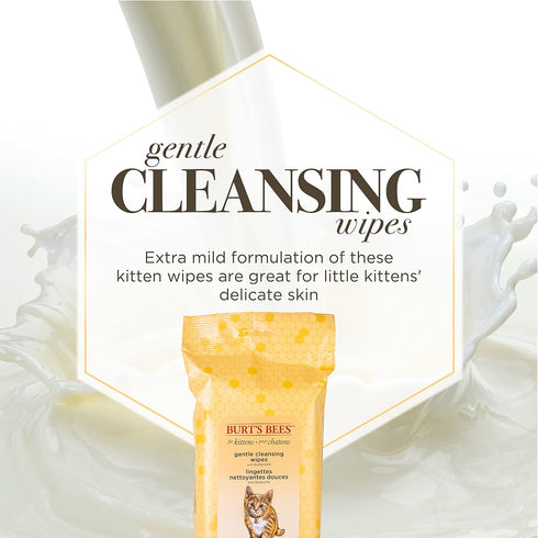 Burt's Bees for Pets Kitten Wipes Wipes - Kitten Wipes for All Cats, Safe for Kittens - Cruelty Free, Formulated without Sulfates and Parabens, pH...