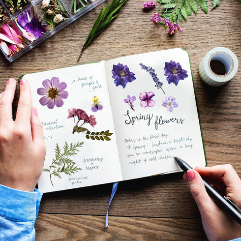Nuanchu 167 Pcs Real Dried Pressed Flowers Natural Dried Flowers Colorful Dry Daisy Flowers Mixed Dried Flowers for DIY Candle Resin Nails Jewelry...