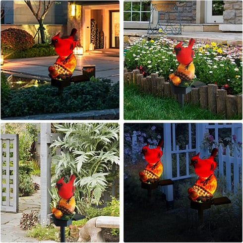 QH & Garden Solar Outdoor Lights Bird Garden Statues Decor, Cardinal Bird Figurine Lights with Powered LED | Resin Waterproof Garden Outdoor Decor...