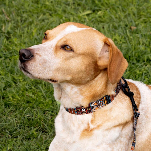 CollarDirect Martingale Collars for Dogs Heavy Duty Tribal Pattern Adjustable Soft Safety Training Nylon Wide Pet Collar Medium Large (Pattern 3, ...