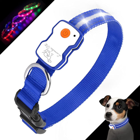 Led Dog Collar 1000 ft Night Visibility LED Dog Leash - Padded Double Traffic Handle |10hr Battery Life, USB-C Quick Charging Light Up Reflective ...