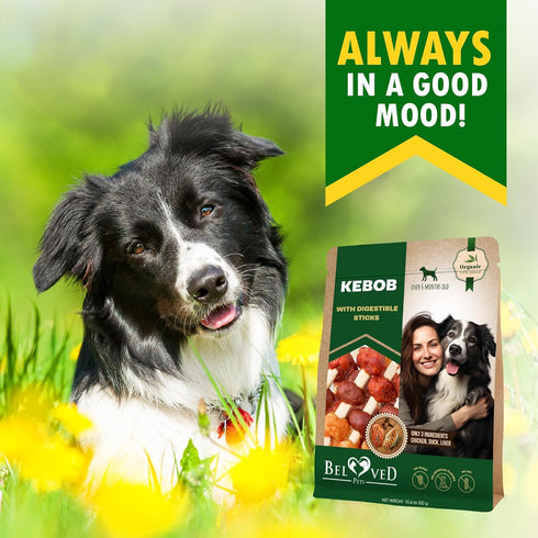 Beloved Pets Kabobs Dog Treats with Duck & Chicken Human Grade Meat - All Natural Pet Dried Snacks Rawhide - Free & Grain Free Long Lasting Chews ...