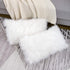 WLNUI Set of 2 White Decorative Lumbar Fluffy Pillow Covers New Luxury Series Merino Style Faux Fur Throw Pillow Covers Fuzzy Cushion Case Spring ...
