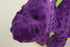goDog Dinos Bruto Squeaky Plush Dog Toy, Chew Guard Technology - Purple, Large...
