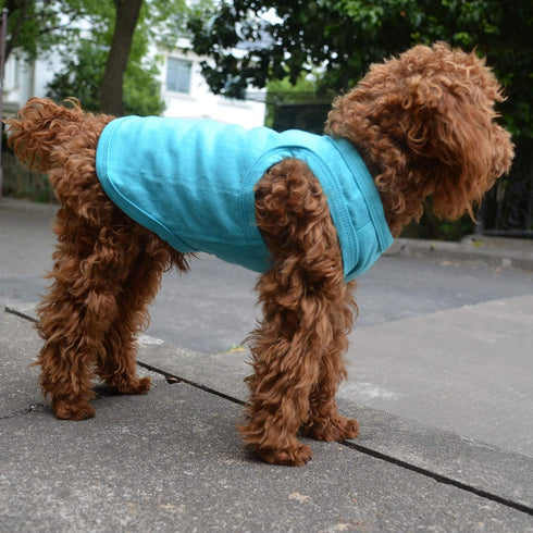 2018 Pet Clothes Dog Clothing Blank T-shirt Tanks Top Vests for Small Middle Large Size Dogs 100% Cotton Dog Summer Vest Classic (XXL, Turquoise)...