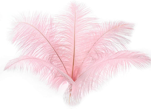12pcs Natural Light Pink Ostrich Feathers 12-14inch (30-35cm) for Wedding Party Centerpieces?Flower Arrangement and Home Decoration....