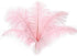 12pcs Natural Light Pink Ostrich Feathers 12-14inch (30-35cm) for Wedding Party Centerpieces?Flower Arrangement and Home Decoration....