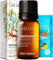 Gya Labs Helichrysum Oil for Skin - Natural Helichrysum Essential for Massages, DIY, Self-Care, Aromatherapy, Candle Making - Sweet, Earthy Scent ...