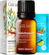 Gya Labs Helichrysum Oil for Skin - Natural Helichrysum Essential for Massages, DIY, Self-Care, Aromatherapy, Candle Making - Sweet, Earthy Scent ...