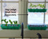Window Garden - Sage Herb Kit - Grow Your Own Food. Germinate Seeds on Your Windowsill Then Move to a Patio Planter or Vegetable Patch. Mini Green...