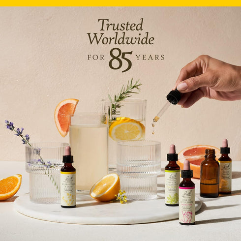 Bach Original Flower Remedies, Wild Oat for Deciding Life's Path (Non-Alcohol Formula), Natural Homeopathic Flower Essence, Holistic Wellness and ...