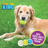 Chew King Glowing Fetch Ball, Dog Ball Toys, 2.5" Combo...