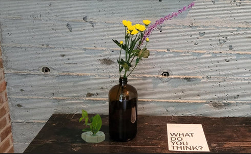 CLAYFLAG - Flower Frog, Handmade Floral Arrangement Ceramic Holder, Eco-Friendly Frogs for Flower Arranging(2.76") (Green)...