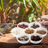 2 Pcs Hermit Crab Ceramic Food Dish, Small Hermit Crab Water Dish Hermit Crab Kit Mini Food Dish Kit for Hermit Crab Tarantula and Snail (White)...