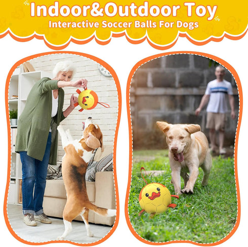 Dog Toys Soccer Ball with Straps - Durable Dog Balls for Small Medium Dogs, Beach Pool Dog Water Toy, Duck Dog Toy, Puppy Dog Birthday Gifts, Herd...