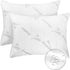 2 Pack Waterproof Viscose Made from Bamboo Pillow Protectors Queen 20x30 Pair Zippered Case, Guaranteed Noiseless Pad, Ultra Plush Absorbent (Visc...